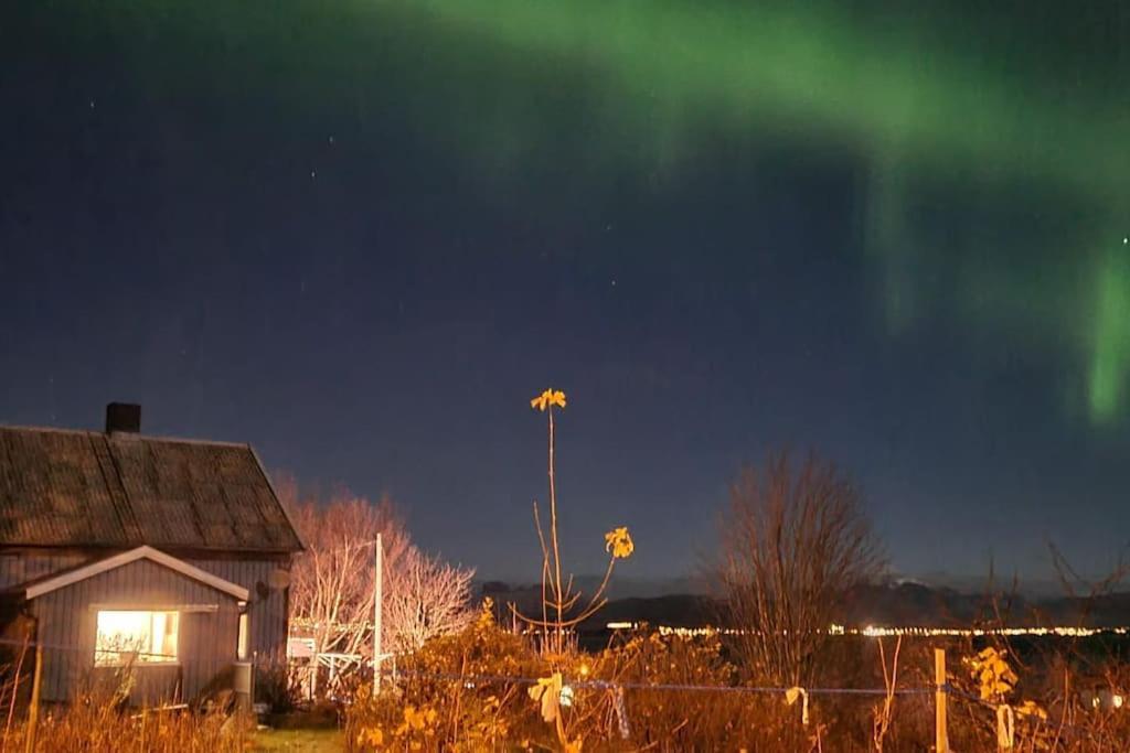 Saltstraumen Paul'S Houseヴィラ エクステリア 写真