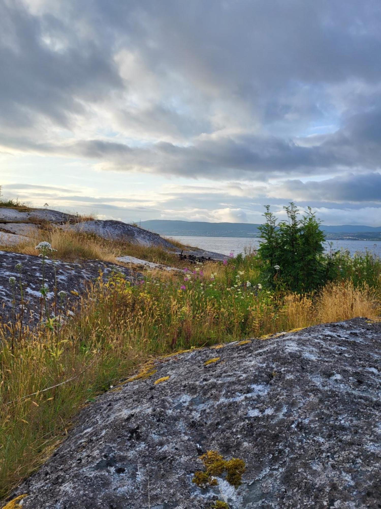 Saltstraumen Paul'S Houseヴィラ エクステリア 写真