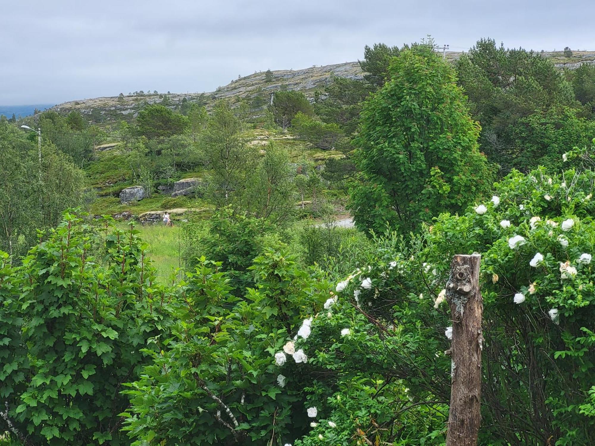 Saltstraumen Paul'S Houseヴィラ エクステリア 写真